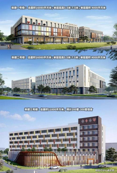 加盟上海市创意产业协会，共铸魔都数字创新进化新篇章——聚焦上海数字文化创意软件